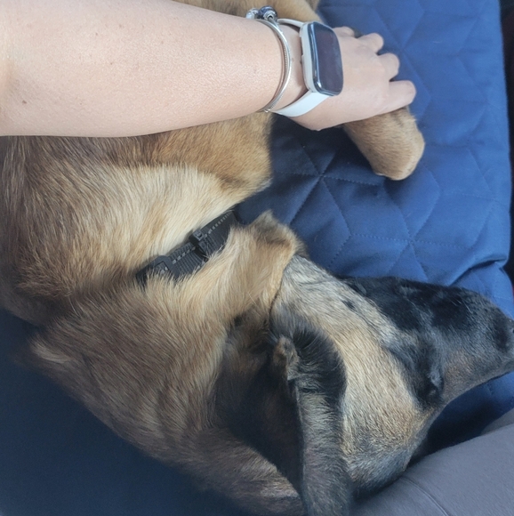 VETERANS DAY SALE - Picture 8 of 11